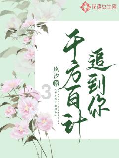 全民剧本大师内置菜单
