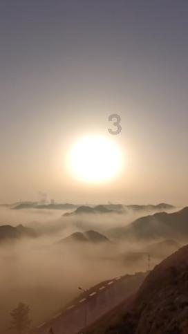 家里随便抓的蜘蛛可以养吗?知识星球,专业共享与交流平台