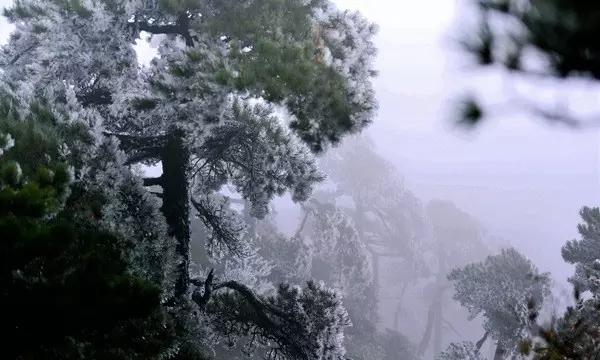 农家书屋里找“致富经”