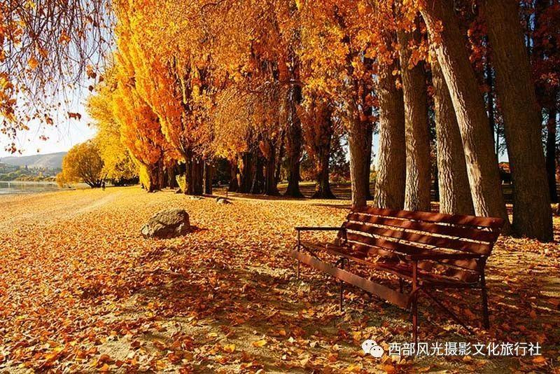 俄渔业船东协会:2023年俄对华海产品出口量同比增加36%