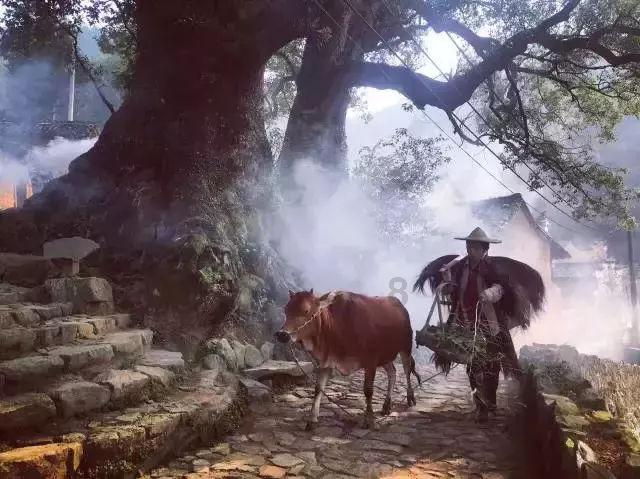 组装机械机甲暴龙2