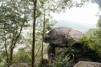 点赞|云南省农文旅融合发展参考案例(九)——楚雄州武定县狮山镇狮山村