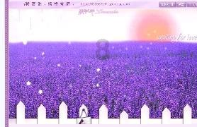 月光影视