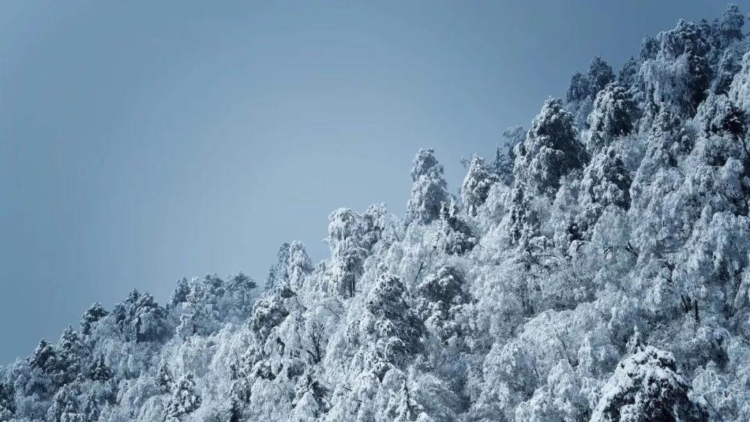 燃烧吧大脑免广告最新版