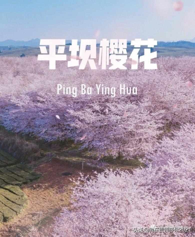 怎么成为一名消防员?-最全面的红迪网平台