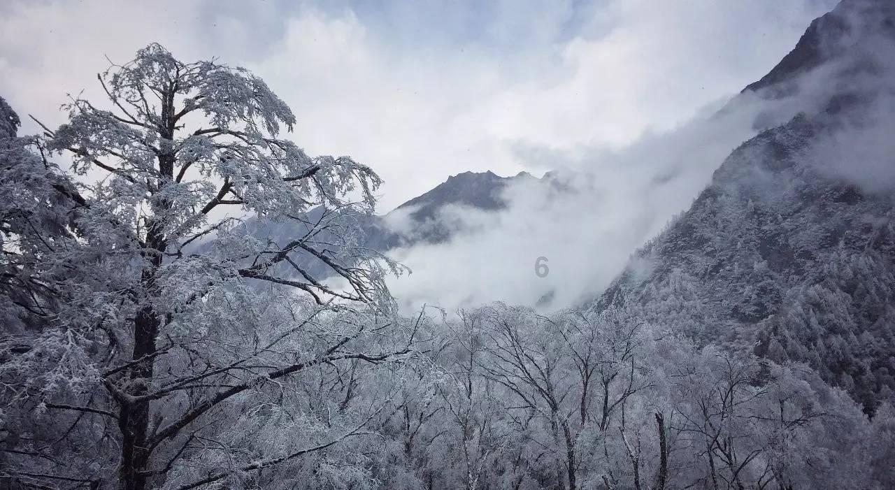 奥特曼兄弟历险记2