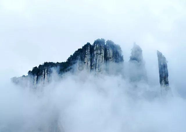 什么样的吹风机比较好?5大2024技术流精品汇总!