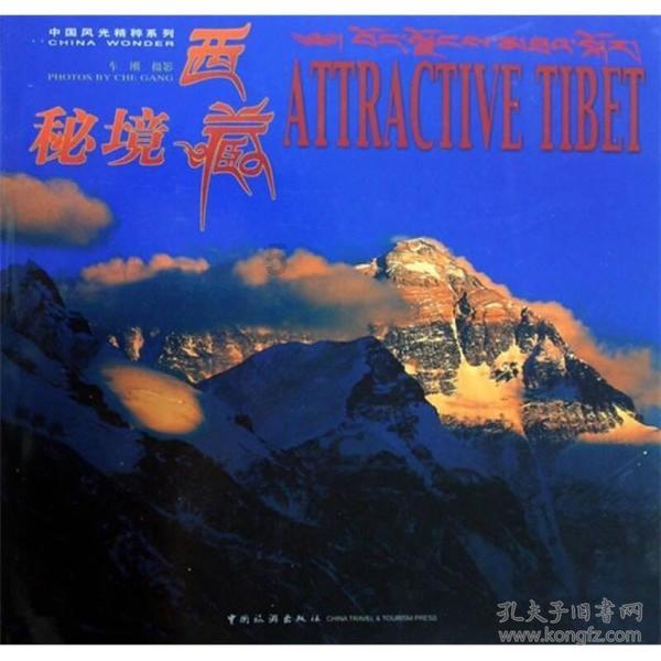 恐怖僵尸之夜