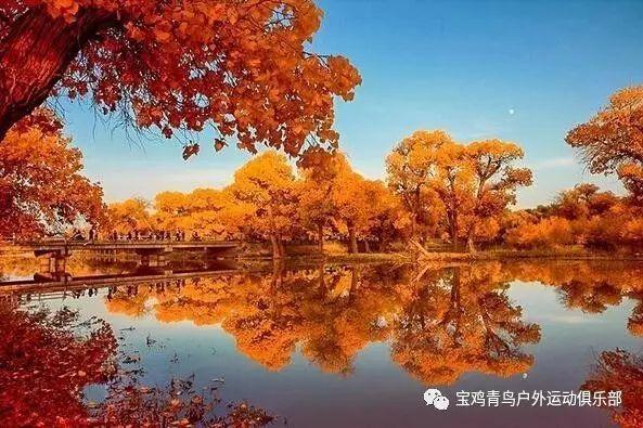 春运今天开启!丽水火车站每天预计发送115班次