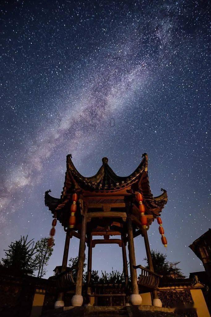 逃离野鸡森林