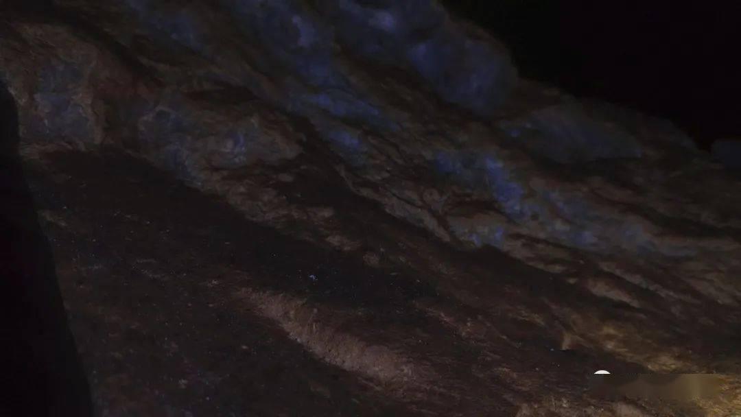 救援紫色生物