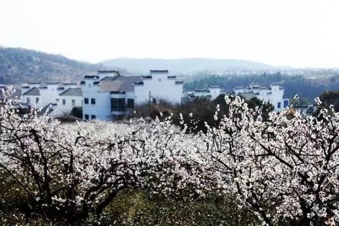威宁县2023年面向社会公开招聘事业单位工作人员拟聘用人员（第四批）公示