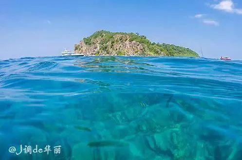 这部全网都在安利的片子，忍不住跟风了一把