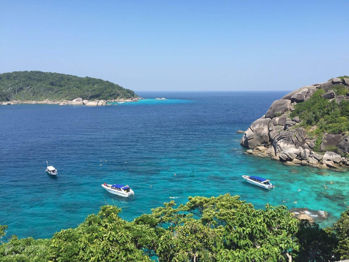 爱丽丝和闺蜜