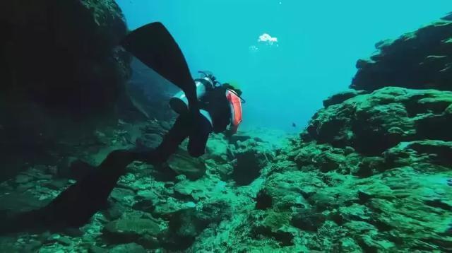虫虫助手下载