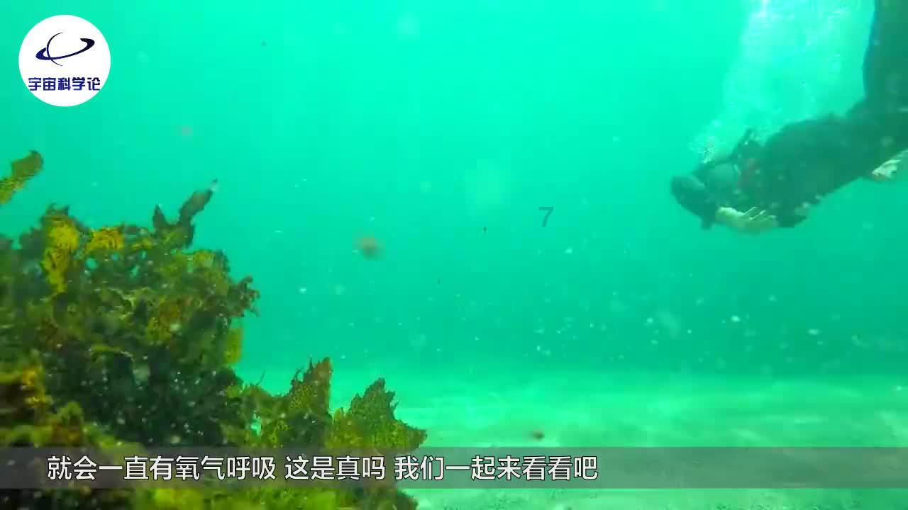 趣味井字棋