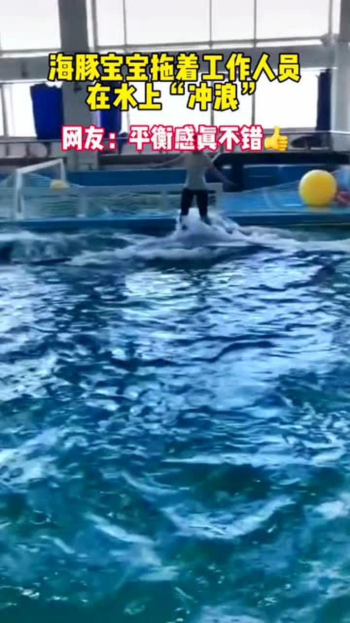 逃出白海豹洞