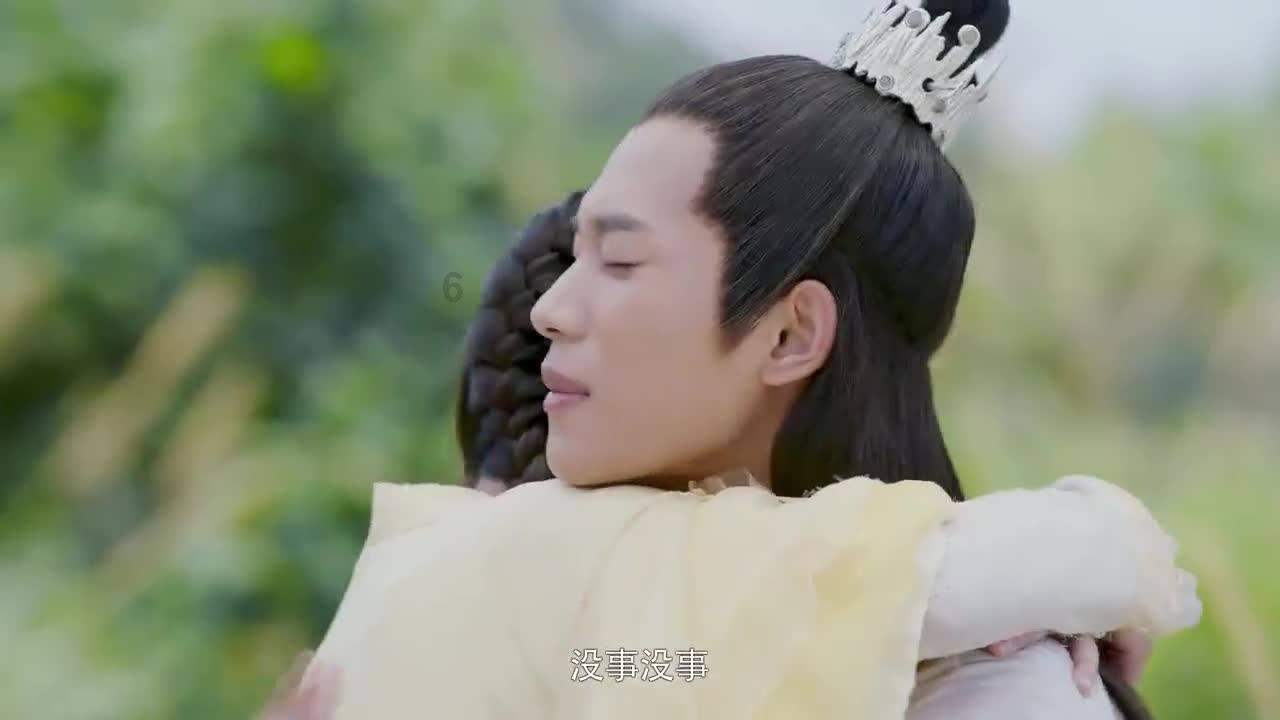 雨后盛放