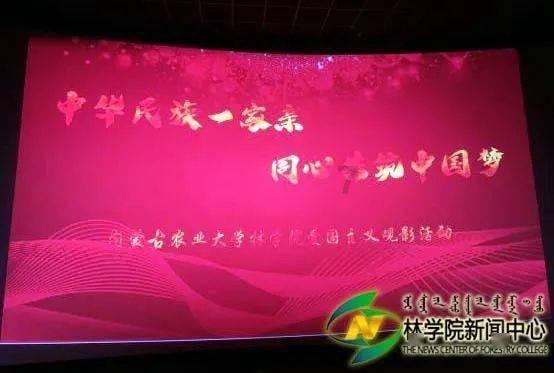 全民烧脑3去广告版