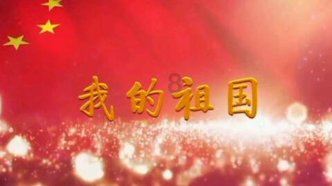 寂静森林找星星