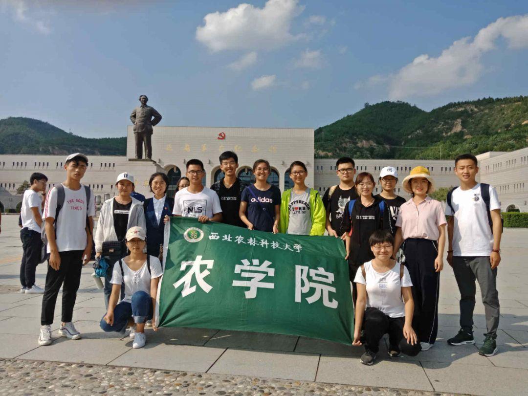 交通公路赛车手