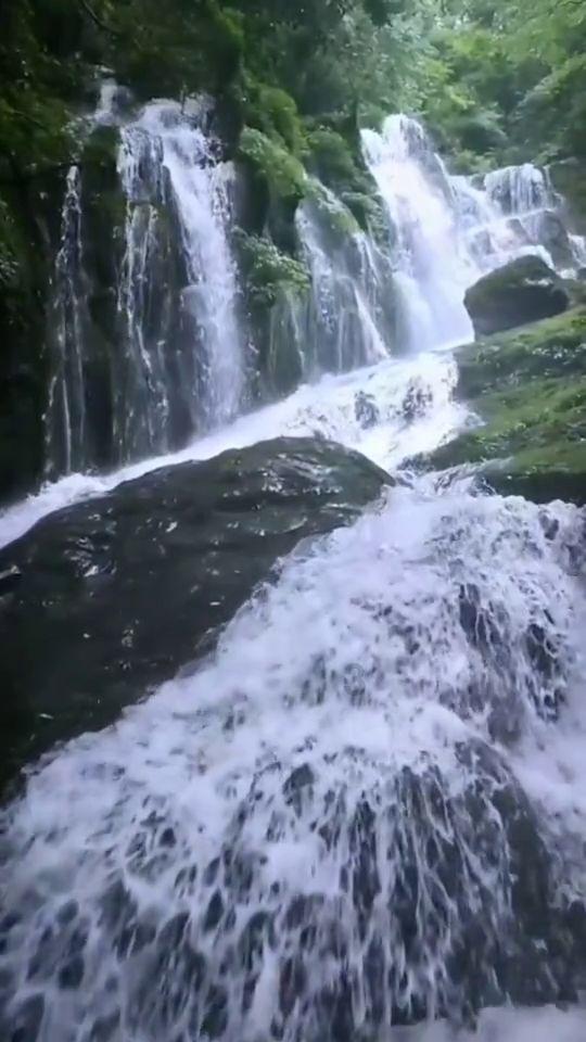 还君一梦之穿越