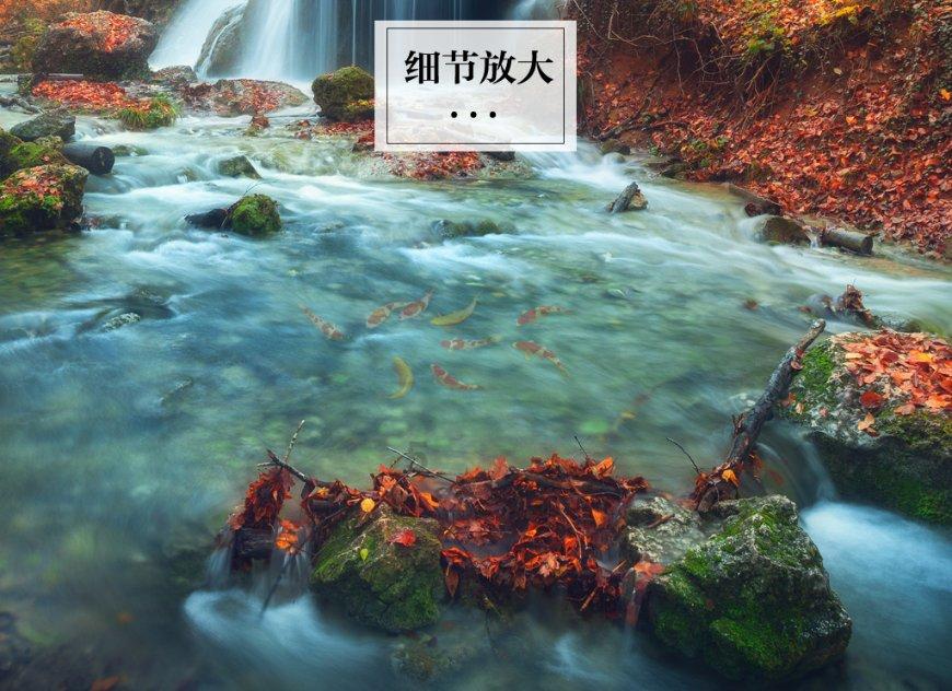 蓝狐视频