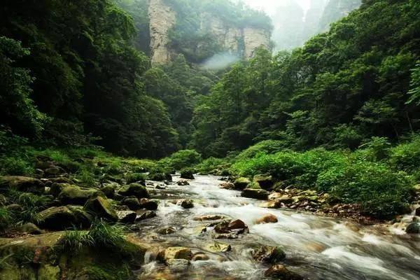阿梅雷斯克盘中异动 下午盘大幅下跌5.12%