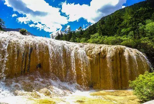 雪后，这片1500年的古楠木森林美成了“童话世界”