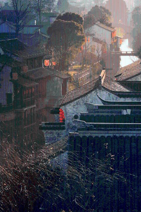 破碎的动物图形3
