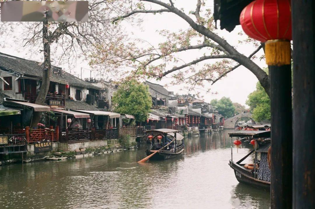 资金蜂拥买入货基和债基，四季度这些基金规模大增超百亿