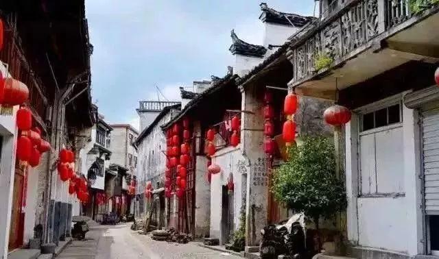 动物帮帮忙保卫家园