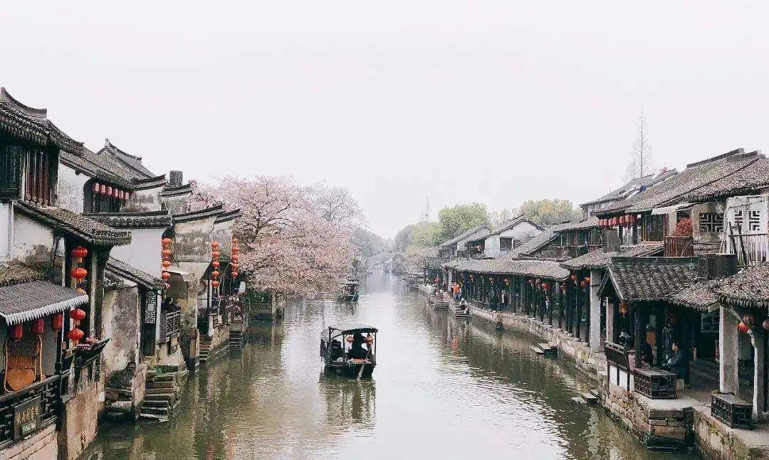 全民烧脑3去广告版