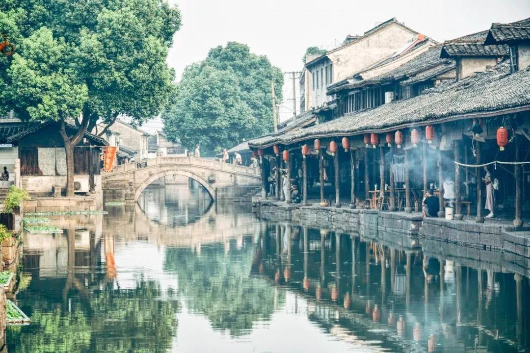2023年饲料中豆粕占比下降到13%