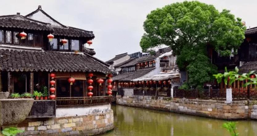 春雨直播app