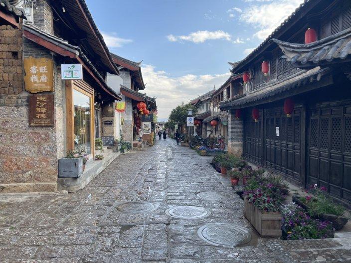 救援大嘴鸟
