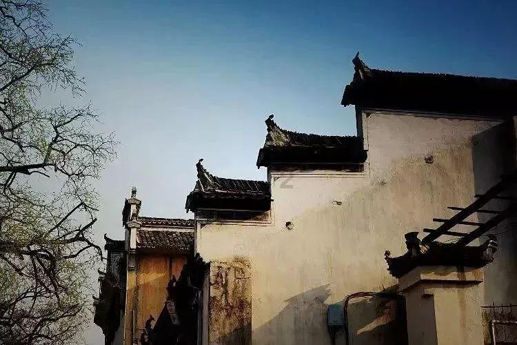 休闲钓鱼