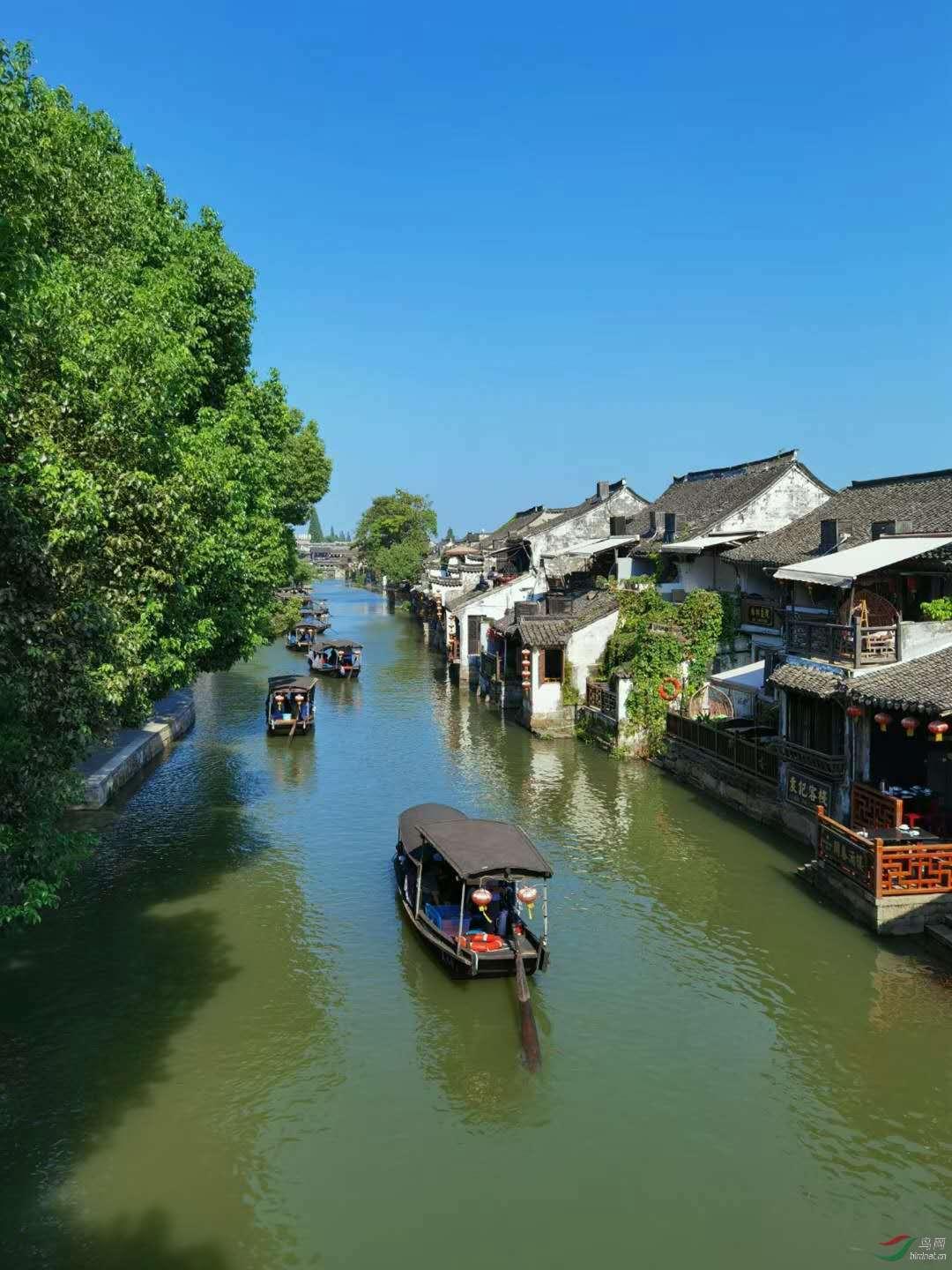 重庆渝中区：让“母城”向美而行！垃圾分类先锋创建工作培训会举行