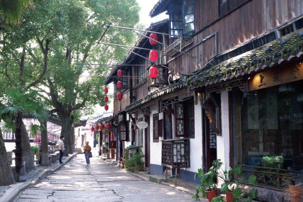 猫猫冒险团
