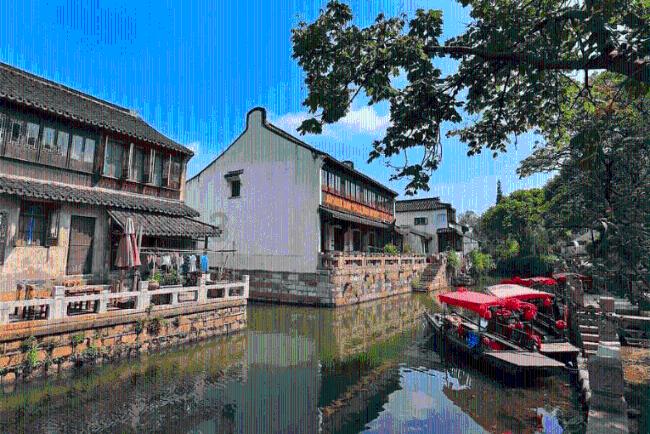 学习插花艺术