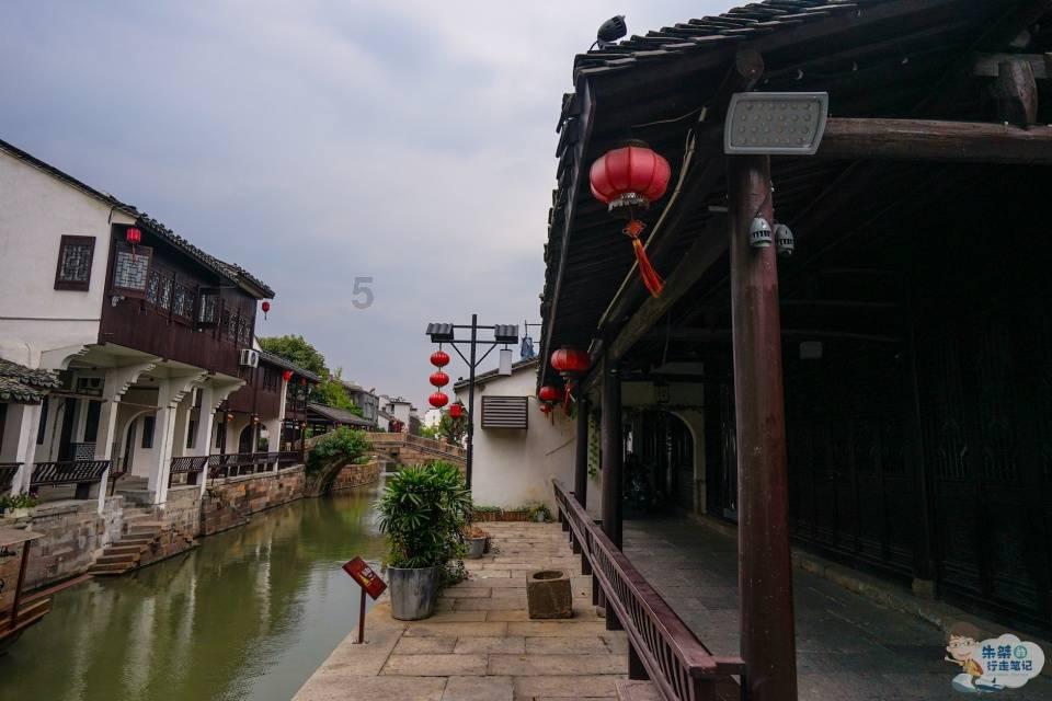 拯救精灵的土地5