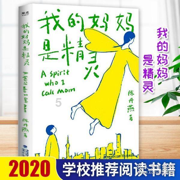 小熊猫足球冒险