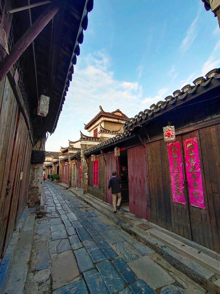 动物帮帮忙保卫家园