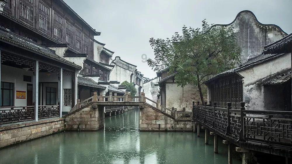 泡沫森林