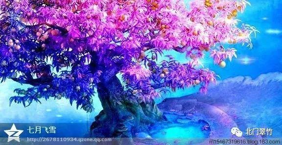 奢华豪宅找不同